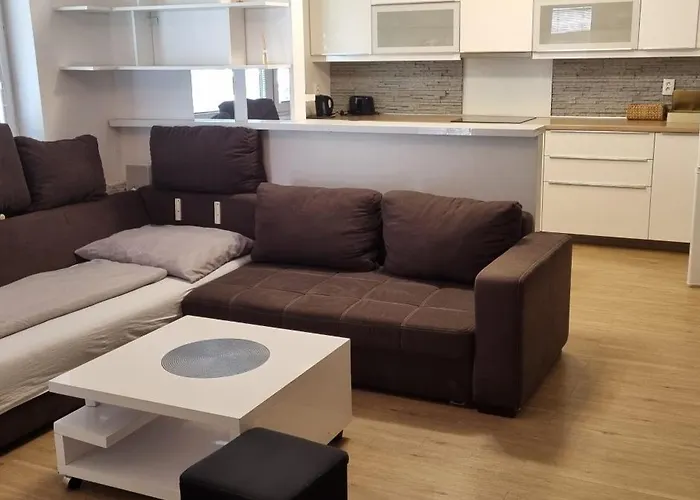 Family Apartman V Centre Mesta Apartment